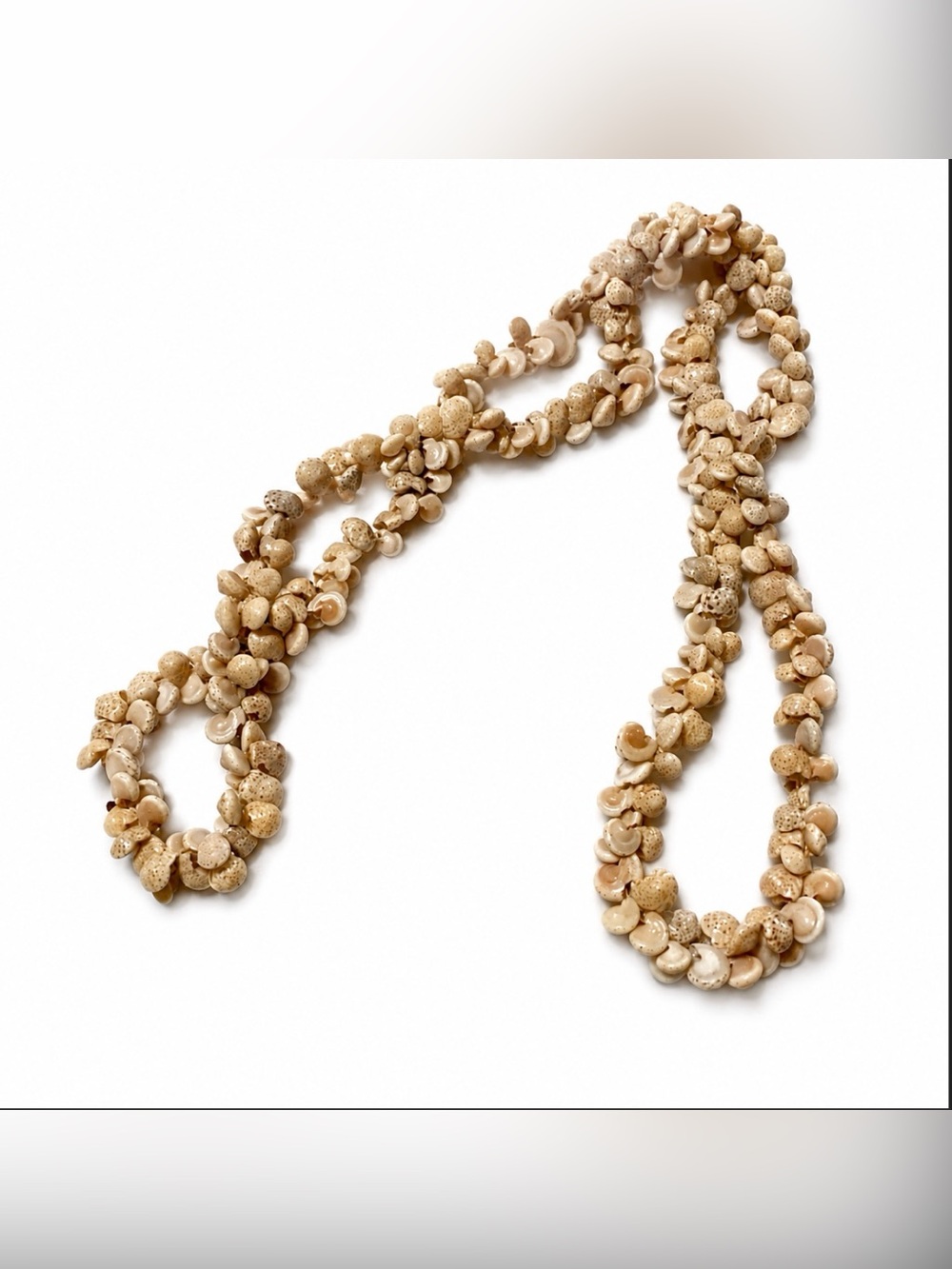 Natural Colored Vintage Petite Shell Necklace NWOT 🐚HP🐚 Beautiful